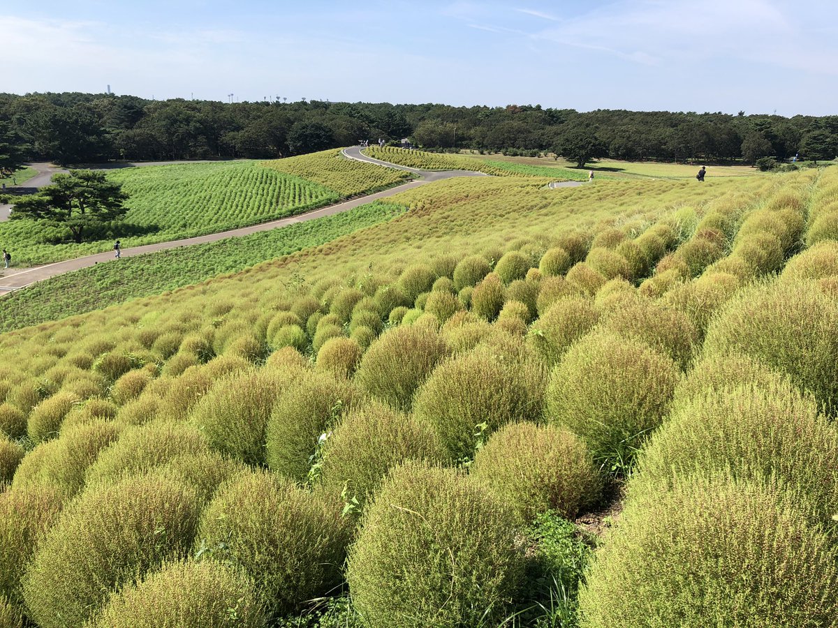 2020北海道ツーリング